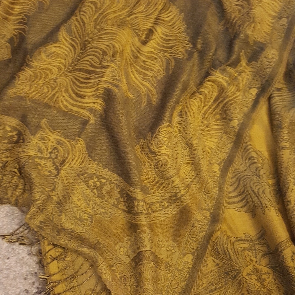 Beautiful pashmina and silk shawl